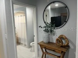 Hall to bathroom and bedroom!