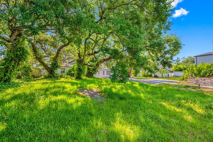 Large oversized lot.