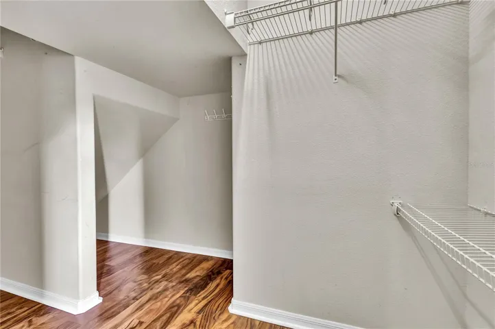 Downstairs Closet