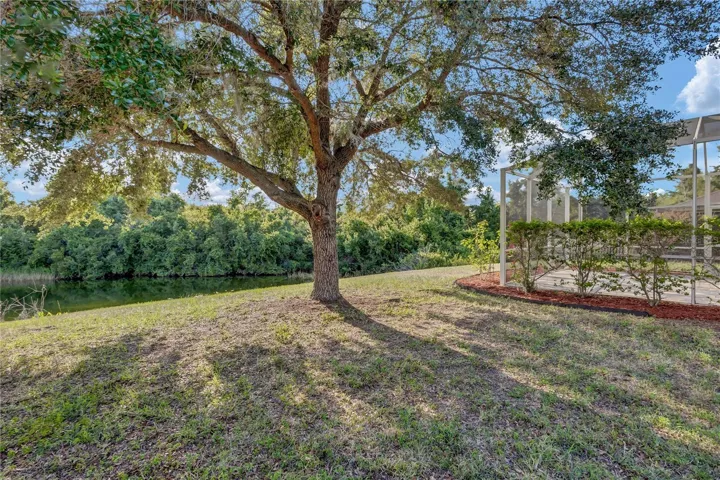 Backyard View