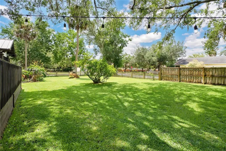 Expansive back yard