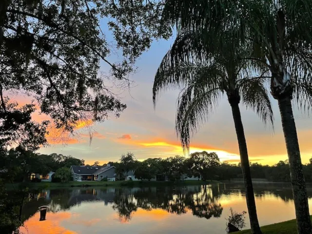 beautiful sunset