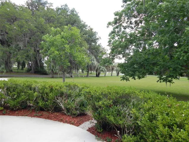 View from Front of Home