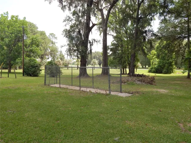 Dog Run
