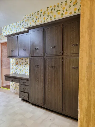 Kitchen Pantry