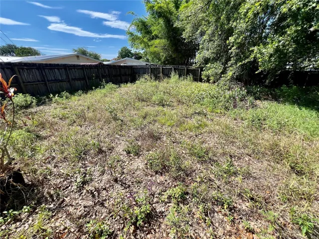 Back yard