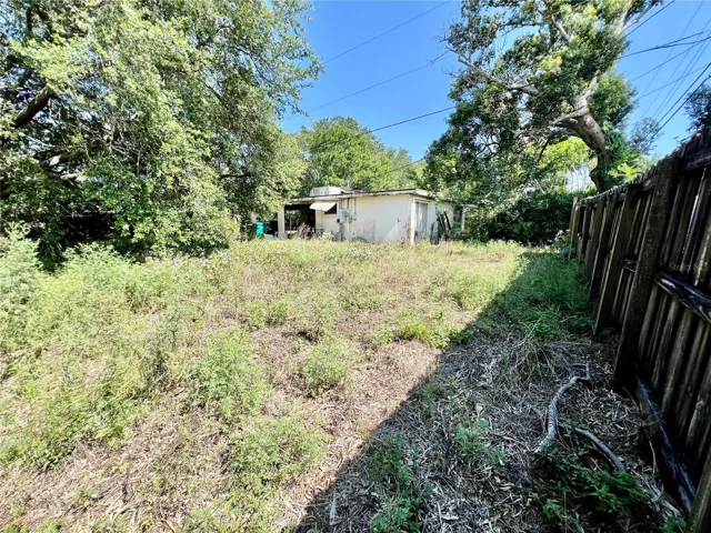 Back yard