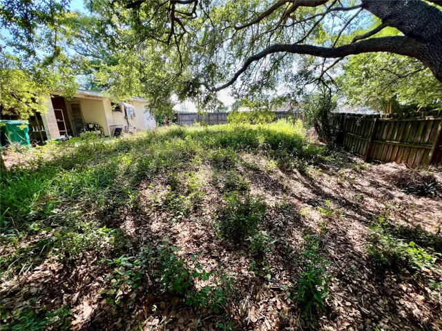 Back yard