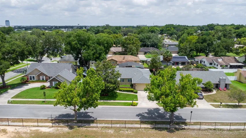 Drone View