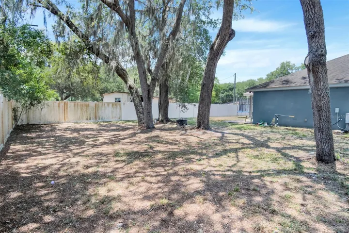 Backyard