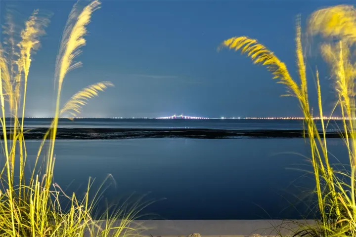 Feel the joy of living in nature.