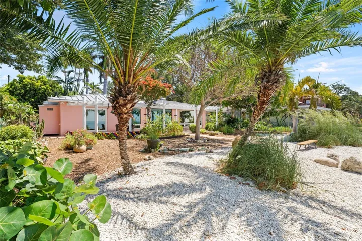 Swaying palm trees for a tropical feel.