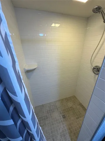 Guest Bathroom Shower