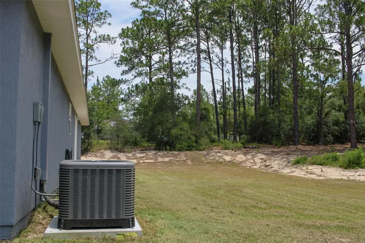 View towards Back Yard