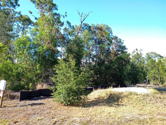 View of Septic installed 2/2023