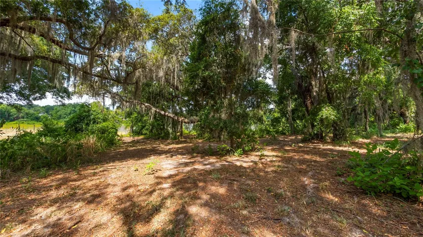 Back yard of the 1.2 acre lot