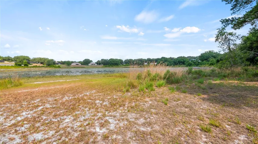 Back yard of the 1.2 acre lot To the pond