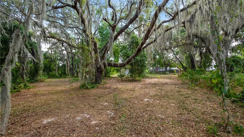 Back yard of the 1.2 acre lot