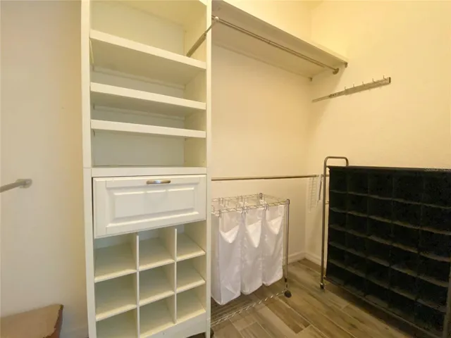 Small Organization Tower in Walk In Closet