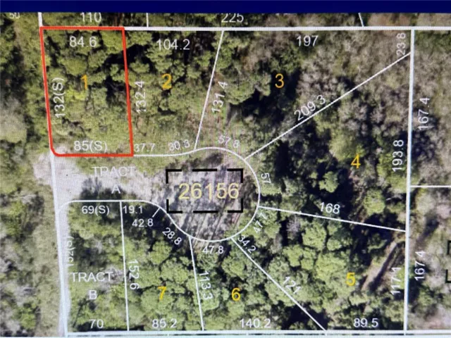 LOT 1 - PROPERTY APPRIASER AERIAL