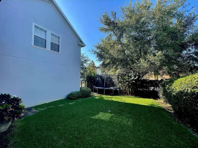 Back yard