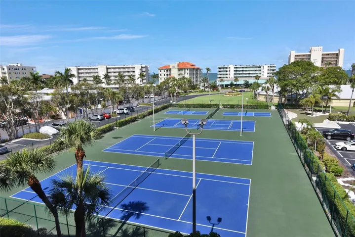 Lighted Pickleball