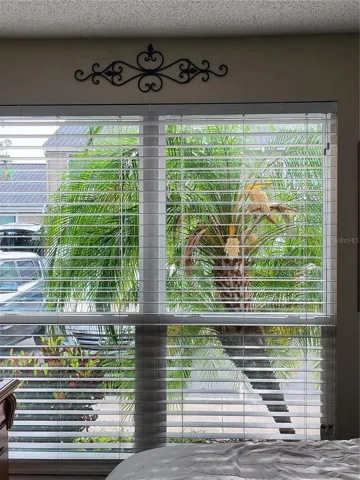 View from Master Bedroom