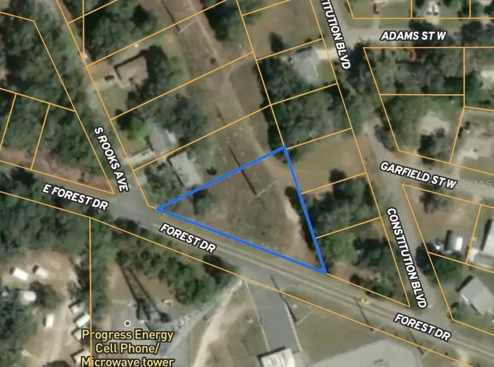 2908 Forest Dr, Inverness, Florida 34453, ,Land,For Sale,FOREST,T3534514
