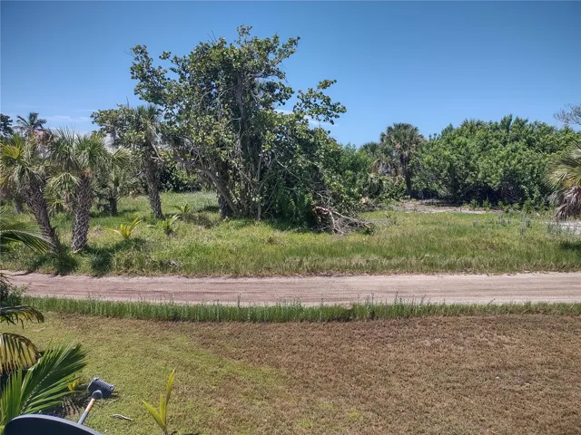 view from deck