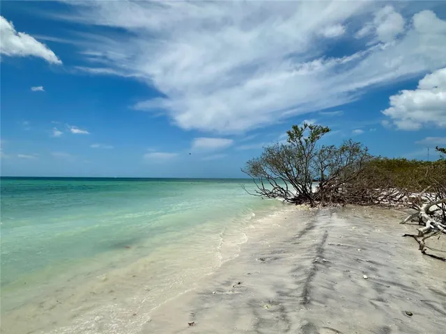 Honeymoon Island, 30 min drive from home