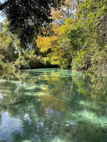 Weeki Wachee