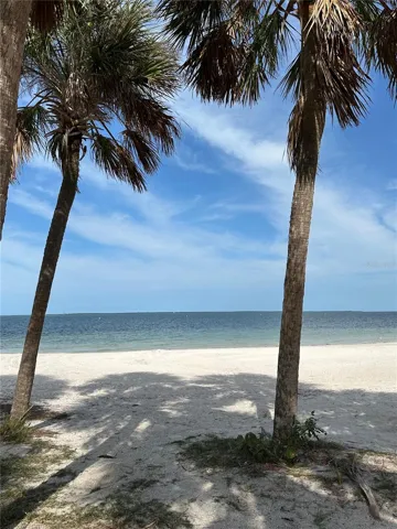 Fred Howard Park, 20 min drive from home