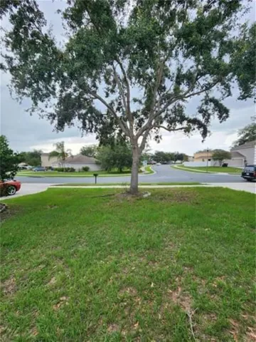 Front yard