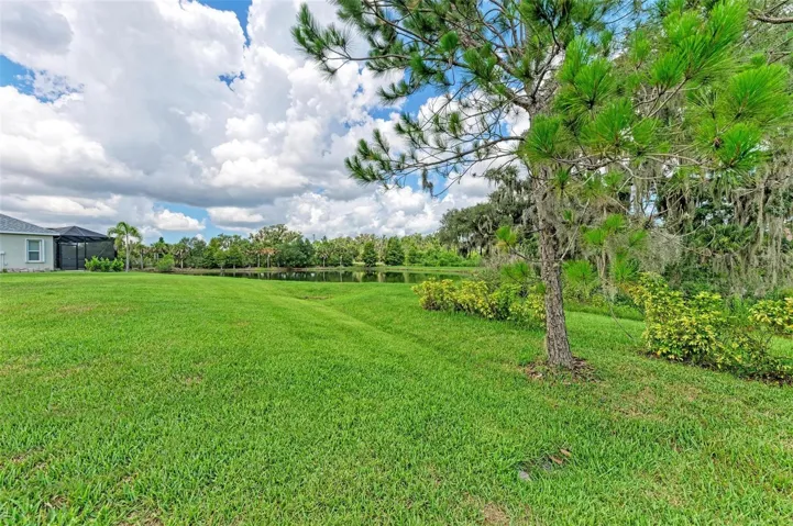 Back Yard with View to Lake
