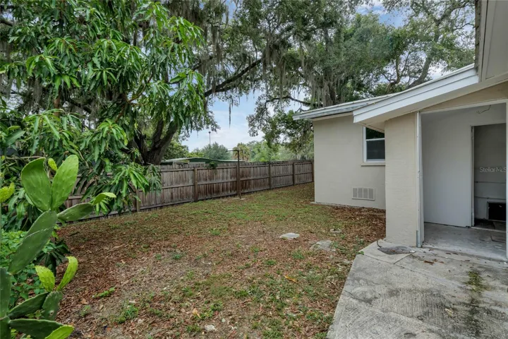 Backyard