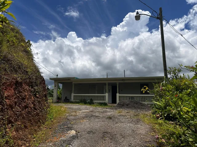 VIEW FROM DRIVEWAY