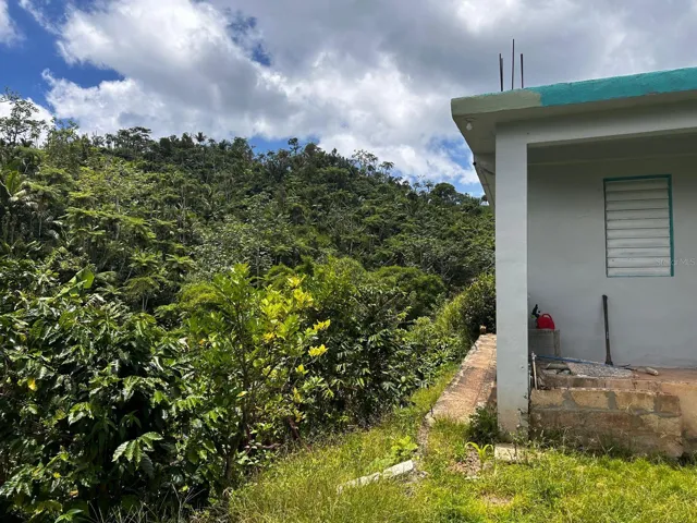 RIGHT SIDE OF PROPERTY