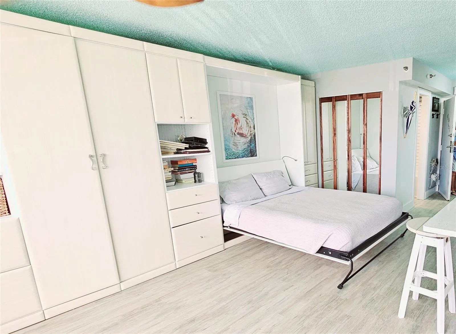Murphy Bed Open