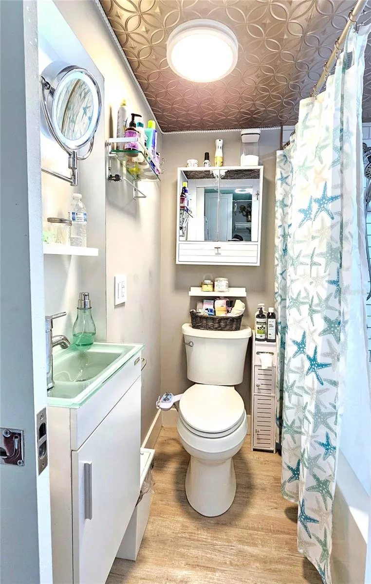 C316 Bathroom/Pocket Door