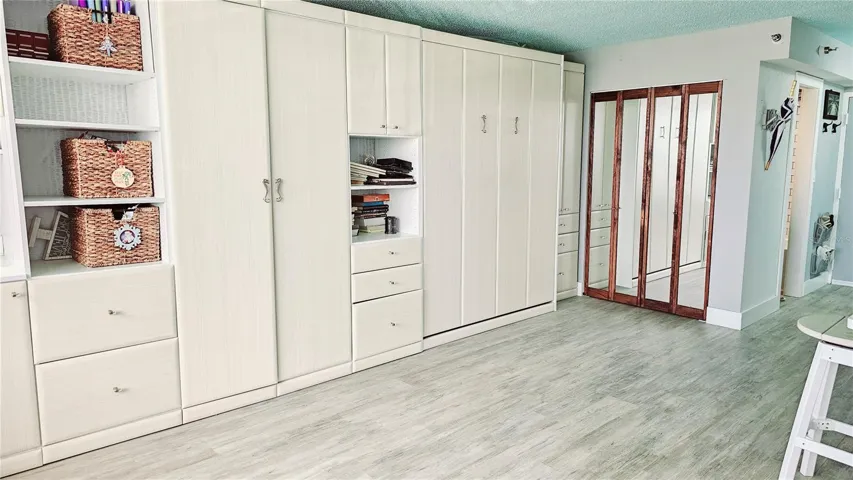 Murphy Bed Closed