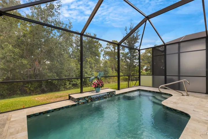 Custom Pool