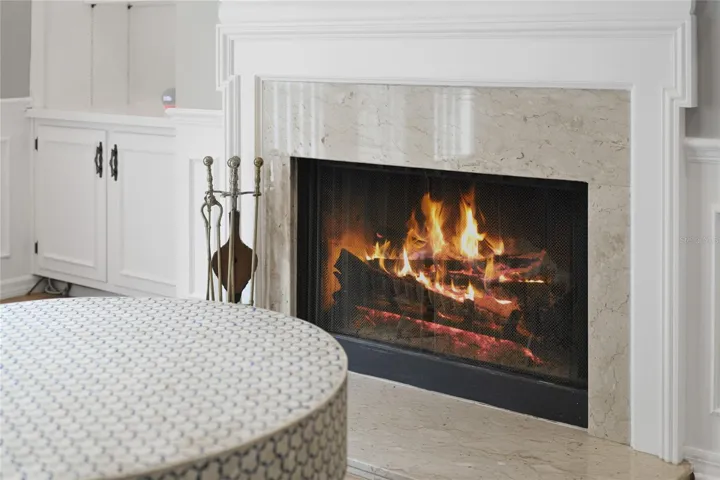 Wood burning fireplace