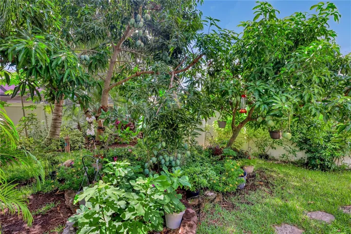 Gorgeous trees and plants