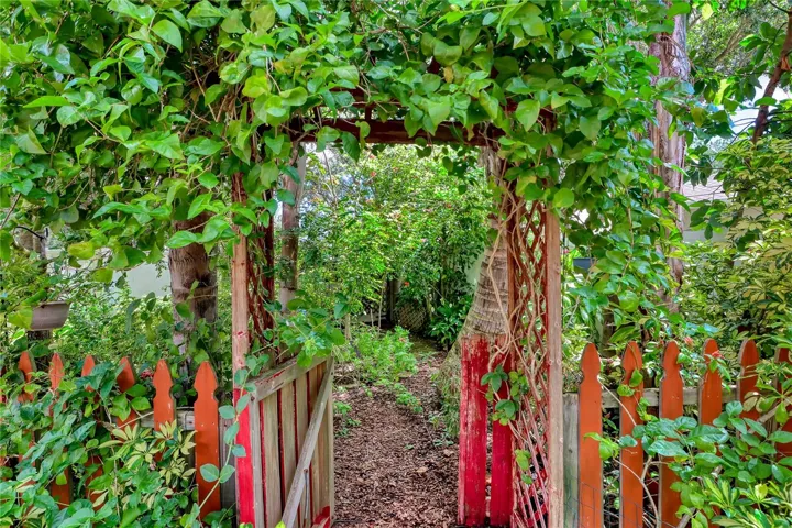 Beautiful Garden