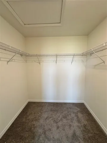 Walk in Master closet