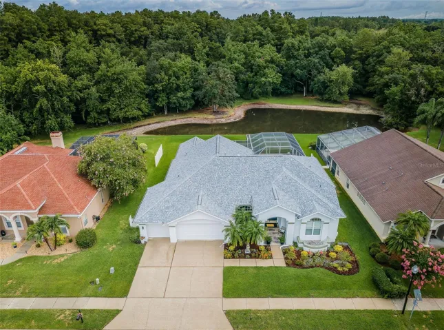 Aerial backyard pond view