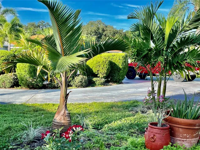 Circular Driveway