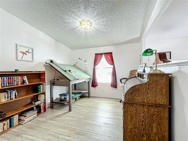 This room is currently used as a bonus room, could be your dining room as well