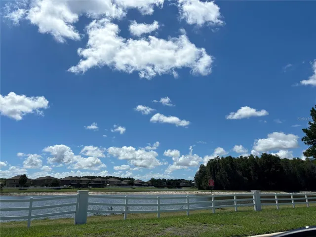 Trinity East community conservation pond