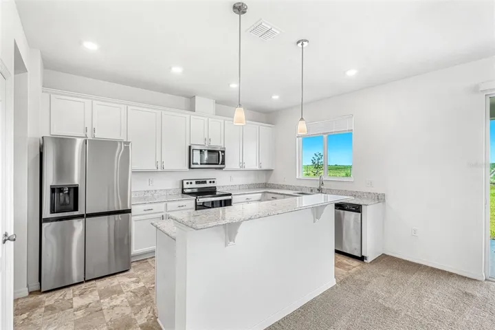Stainless steel appliances and quartz counters